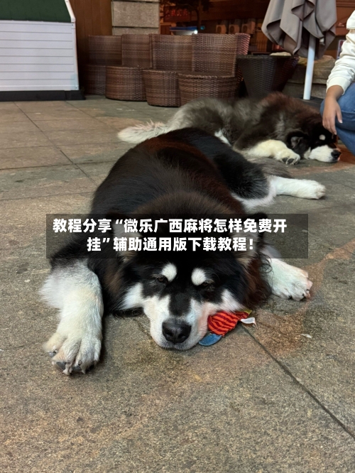 教程分享“微乐广西麻将怎样免费开挂”辅助通用版下载教程！-第2张图片