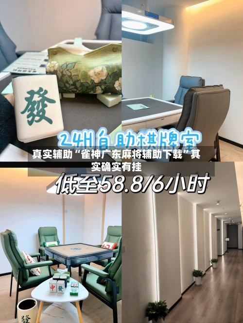 真实辅助“雀神广东麻将辅助下载	”其实确实有挂-第2张图片