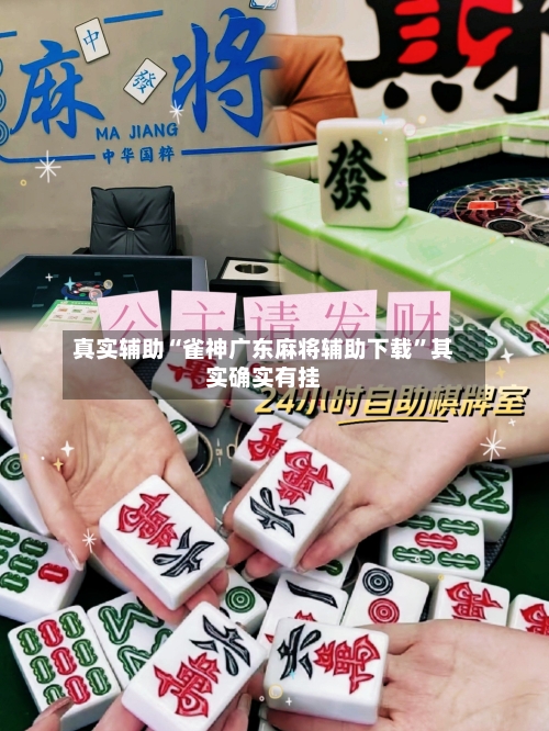 真实辅助“雀神广东麻将辅助下载”其实确实有挂-第3张图片