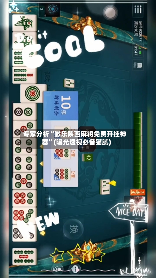 专家分析“微乐陕西麻将免费开挂神器”(曝光透视必备猫腻)-第2张图片