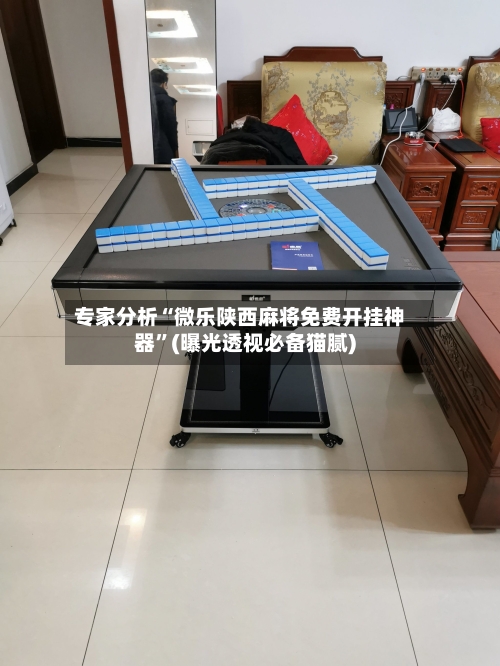 专家分析“微乐陕西麻将免费开挂神器	”(曝光透视必备猫腻)-第3张图片