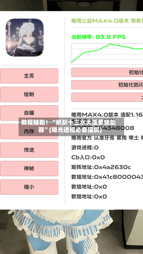 教程辅助！“拱趴十三水大菠萝辅助器”(曝光透视必备猫腻)