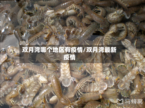 双月湾哪个地区有疫情/双月湾最新疫情