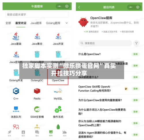 独家脚本实测“微乐掼蛋官网”真实开挂技巧分享-第3张图片