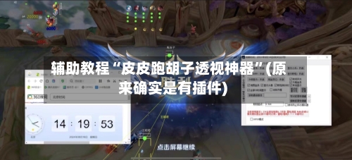 辅助教程“皮皮跑胡子透视神器”(原来确实是有插件)