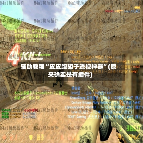 辅助教程“皮皮跑胡子透视神器	”(原来确实是有插件)-第2张图片