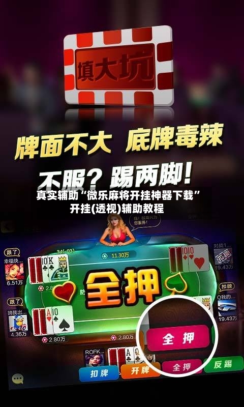 真实辅助“微乐麻将开挂神器下载”开挂(透视)辅助教程-第2张图片