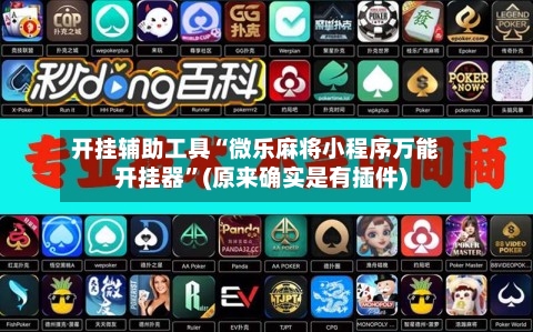 开挂辅助工具“微乐麻将小程序万能开挂器”(原来确实是有插件)