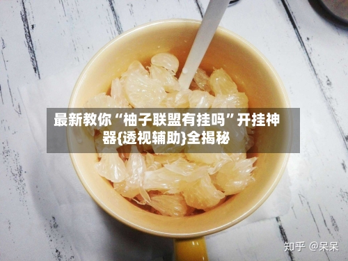 最新教你“柚子联盟有挂吗”开挂神器{透视辅助}全揭秘-第2张图片