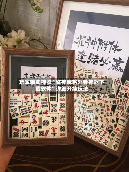 玩家辅助神器“雀神麻将外卦神器下载软件”详细开挂玩法