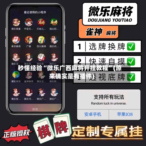 秒懂经验“微乐广西麻将开挂教程”(原来确实是有插件)-第3张图片