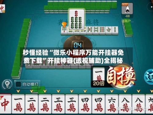 秒懂经验“微乐小程序万能开挂器免费下载”开挂神器{透视辅助}全揭秘-第3张图片