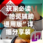 玩家必读“哈灵辅助通用版”详细分享装挂步骤教程-第2张图片