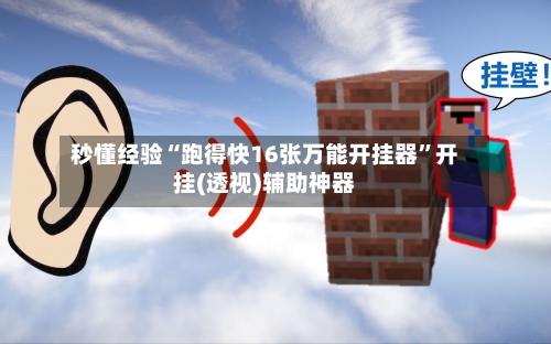 秒懂经验“跑得快16张万能开挂器”开挂(透视)辅助神器-第2张图片