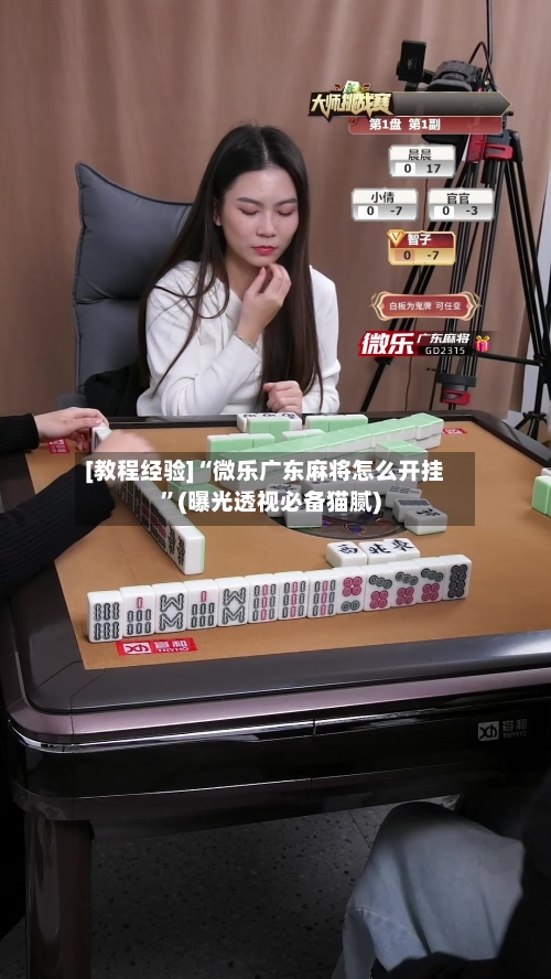 [教程经验]“微乐广东麻将怎么开挂	”(曝光透视必备猫腻)-第2张图片