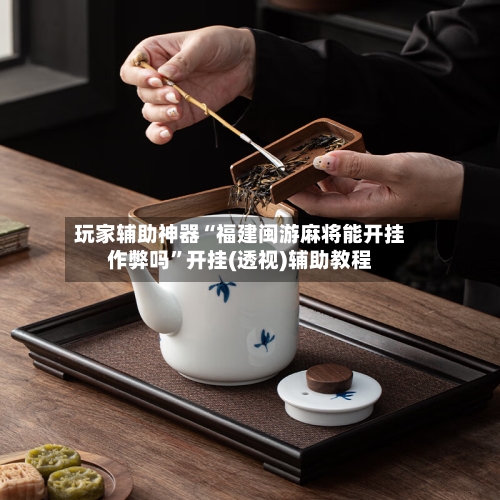 玩家辅助神器“福建闽游麻将能开挂作弊吗”开挂(透视)辅助教程-第3张图片