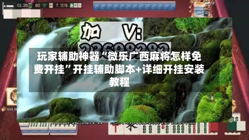 玩家辅助神器“微乐广西麻将怎样免费开挂”开挂辅助脚本+详细开挂安装教程-第3张图片