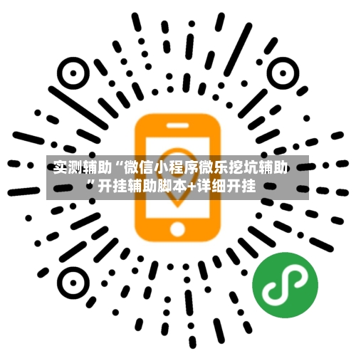 实测辅助“微信小程序微乐挖坑辅助”开挂辅助脚本+详细开挂-第2张图片