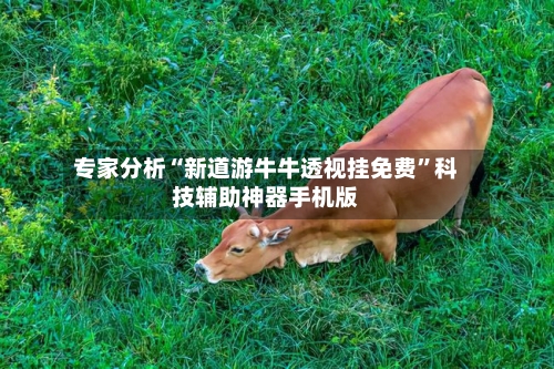 专家分析“新道游牛牛透视挂免费”科技辅助神器手机版