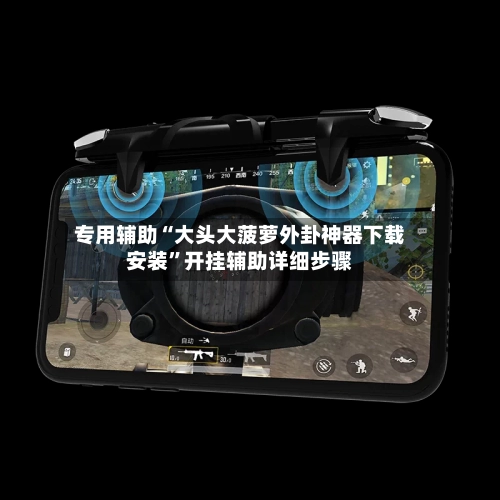 专用辅助“大头大菠萝外卦神器下载安装”开挂辅助详细步骤-第2张图片