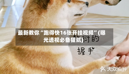 最新教你“跑得快16张开挂视频”(曝光透视必备猫腻)