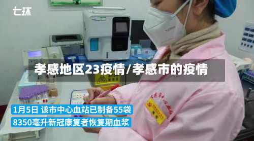 孝感地区23疫情/孝感市的疫情
