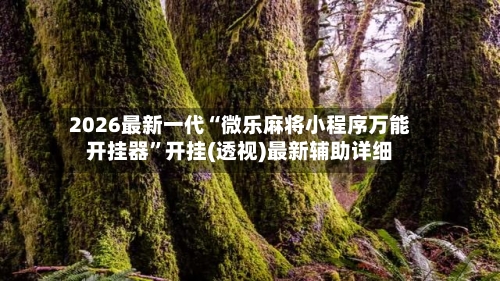 2026最新一代“微乐麻将小程序万能开挂器	”开挂(透视)最新辅助详细-第3张图片