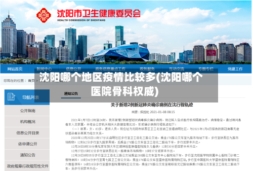 沈阳哪个地区疫情比较多(沈阳哪个医院骨科权威)-第2张图片