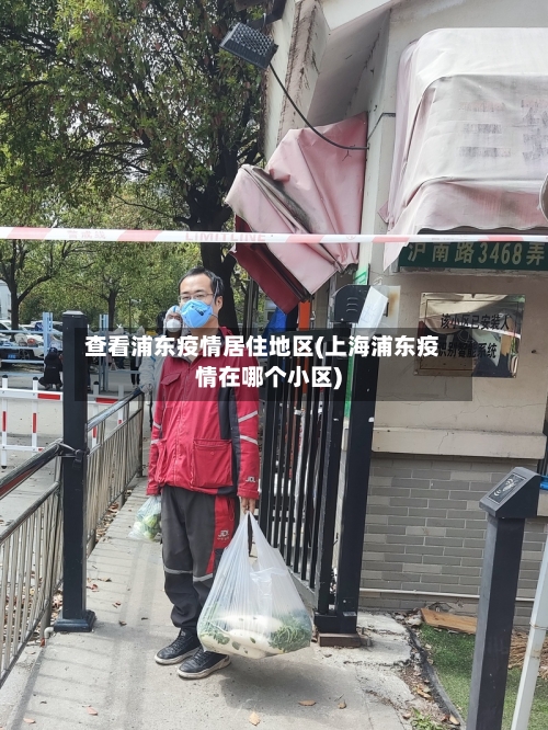 查看浦东疫情居住地区(上海浦东疫情在哪个小区)