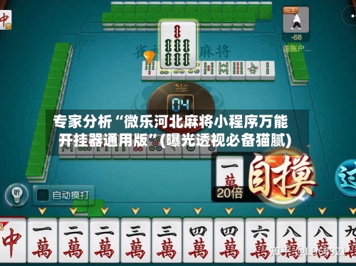 专家分析“微乐河北麻将小程序万能开挂器通用版”(曝光透视必备猫腻)