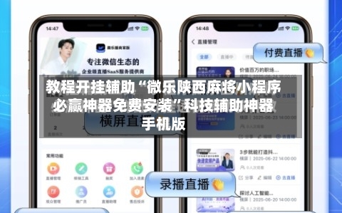 教程开挂辅助“微乐陕西麻将小程序必赢神器免费安装	”科技辅助神器手机版-第2张图片