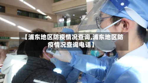 【浦东地区防疫情况查询,浦东地区防疫情况查询电话】-第3张图片