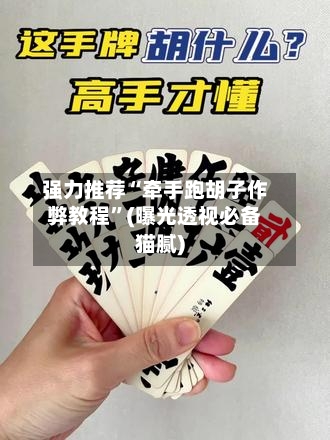 强力推荐“牵手跑胡子作弊教程”(曝光透视必备猫腻)