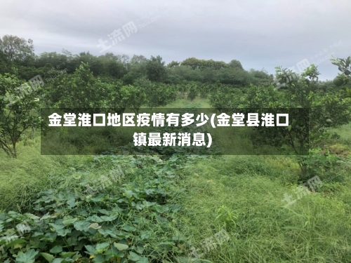 金堂淮口地区疫情有多少(金堂县淮口镇最新消息)