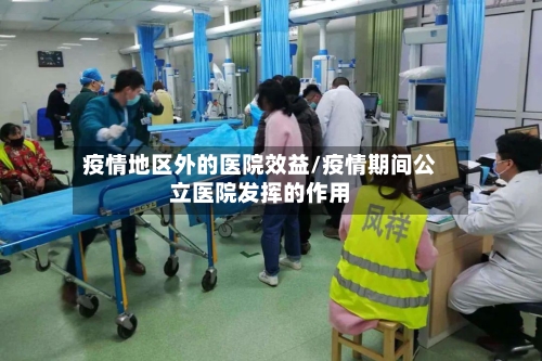 疫情地区外的医院效益/疫情期间公立医院发挥的作用