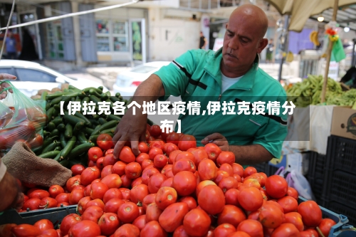 【伊拉克各个地区疫情,伊拉克疫情分布】-第3张图片