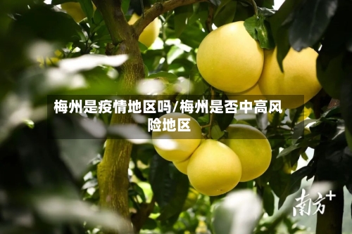梅州是疫情地区吗/梅州是否中高风险地区-第2张图片