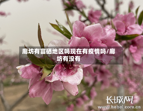 廊坊有富硒地区吗现在有疫情吗/廊坊有没有