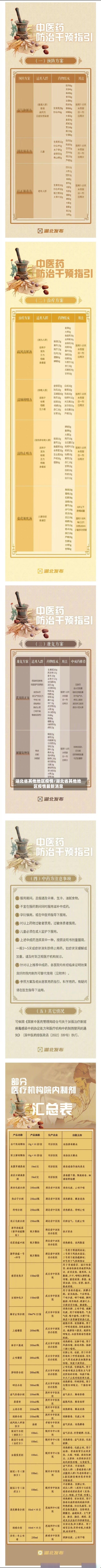 湖北省其他地区疫情/湖北省其他地区疫情最新消息-第2张图片