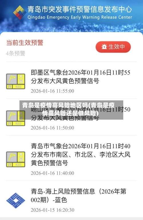 青岛是疫情高风险地区吗(青岛是疫情高风险还是低风险)