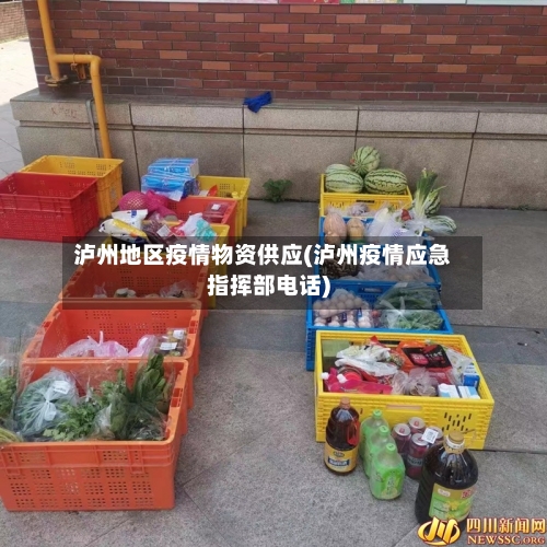 泸州地区疫情物资供应(泸州疫情应急指挥部电话)-第2张图片