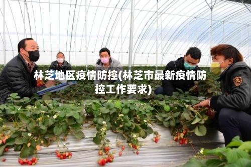 林芝地区疫情防控(林芝市最新疫情防控工作要求)