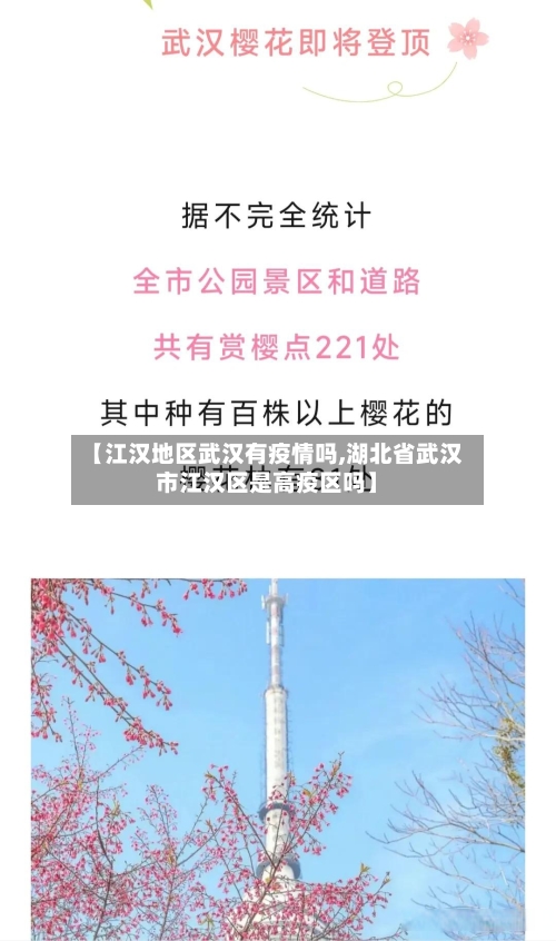 【江汉地区武汉有疫情吗,湖北省武汉市江汉区是高疫区吗】