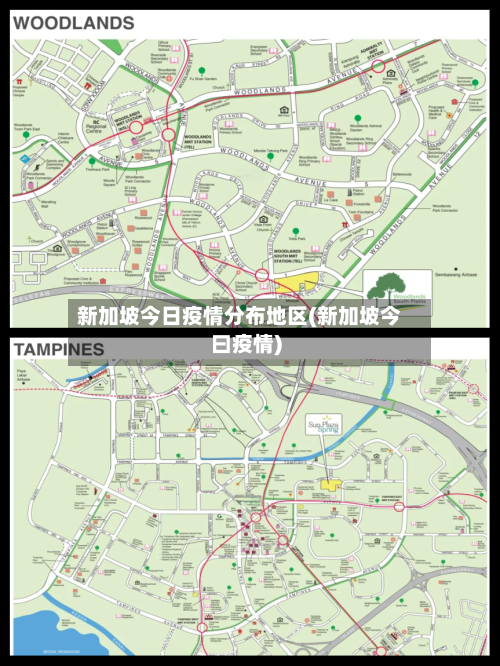 新加坡今日疫情分布地区(新加坡今曰疫情)