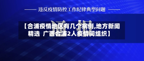 【合浦疫情地区有几个病例,地方新闻精选  广西合浦2人疫情间组织】-第2张图片