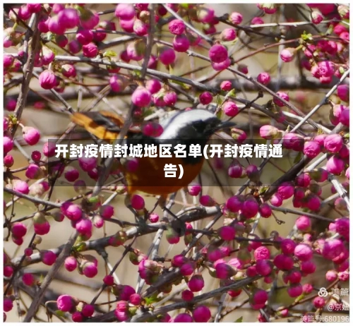 开封疫情封城地区名单(开封疫情通告)-第2张图片