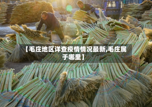 【毛庄地区详查疫情情况最新,毛庄属于哪里】