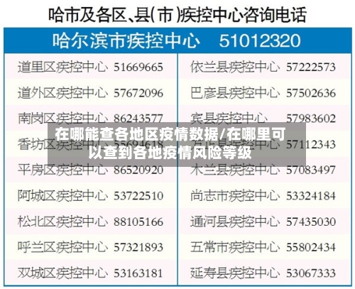 在哪能查各地区疫情数据/在哪里可以查到各地疫情风险等级-第2张图片