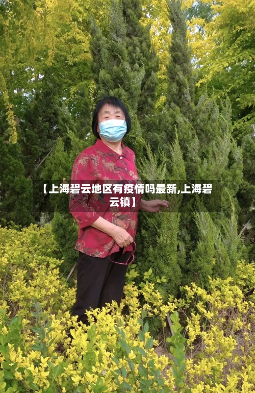 【上海碧云地区有疫情吗最新,上海碧云镇】