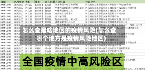 怎么查是啥地区的疫情风险(怎么查哪个地方是疫情风险地区)-第3张图片